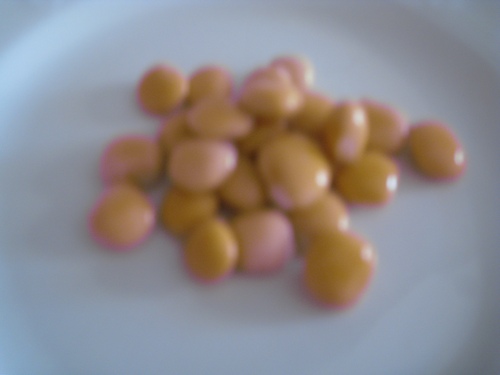 Lupini / tremoco beans