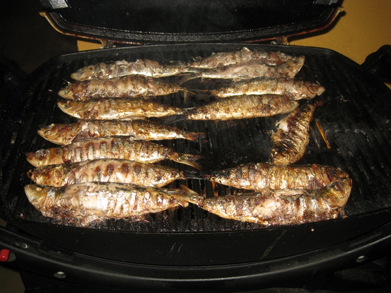 Portuguese Sardines - arrival feast for our guests
