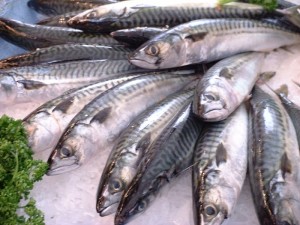 Fresh fish - healthy and inexpensive